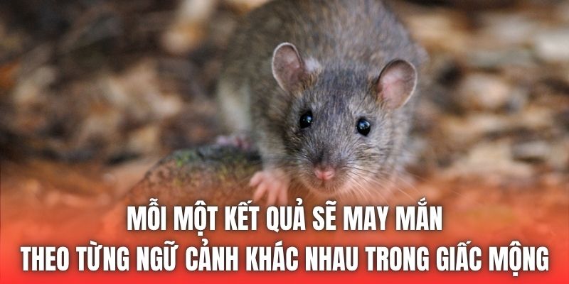 Mỗi một kết quả sẽ may mắn theo từng ngữ cảnh khác nhau trong giấc mộng