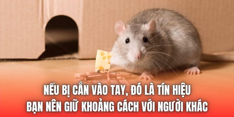 Nếu bị cắn vào tay, đó là tín hiệu bạn nên giữ khoảng cách với người khác